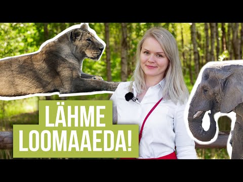 Video: Tallinna loomaaed: kirjeldus, ajalugu, loomad ja turistide ülevaated