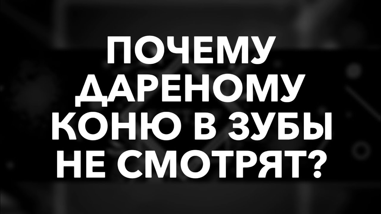 Почему дареному коню в зубы не смотрят? - YouTube