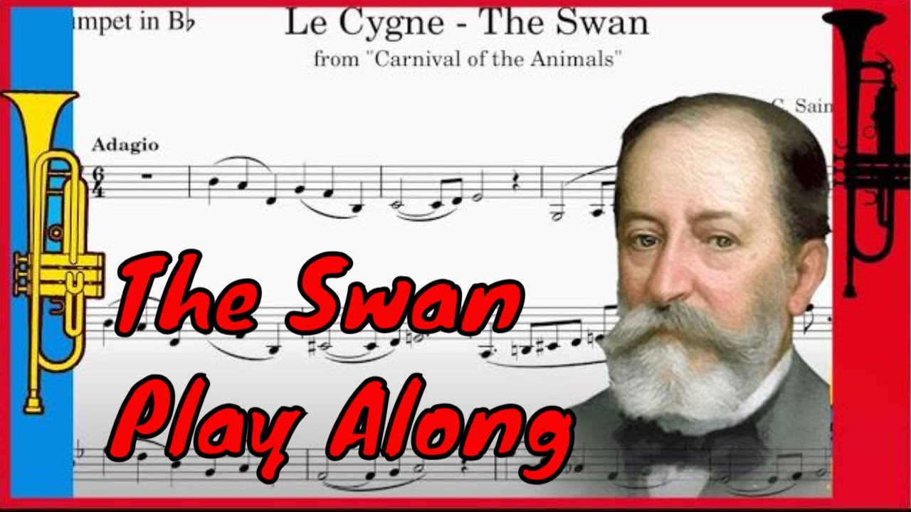The Swan (Carnival of the Animals) - Piano Accompaniment with Sheet music in Bb