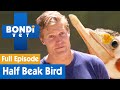 🐦 Fixing A Bird With Half A Beak | FULL EPISODE | S08E01 | Bondi Vet