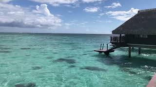 Insane Hilton Moorea Resort and Spa. 80K Hilton points a night. $0 out of pocket !