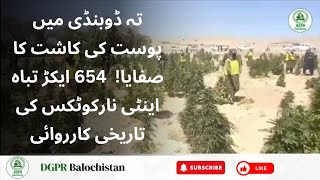 Opium Eradication Blitz! 654 Acres Destroyed in Killa Abdullah | Anti-Narcotics Onslaught