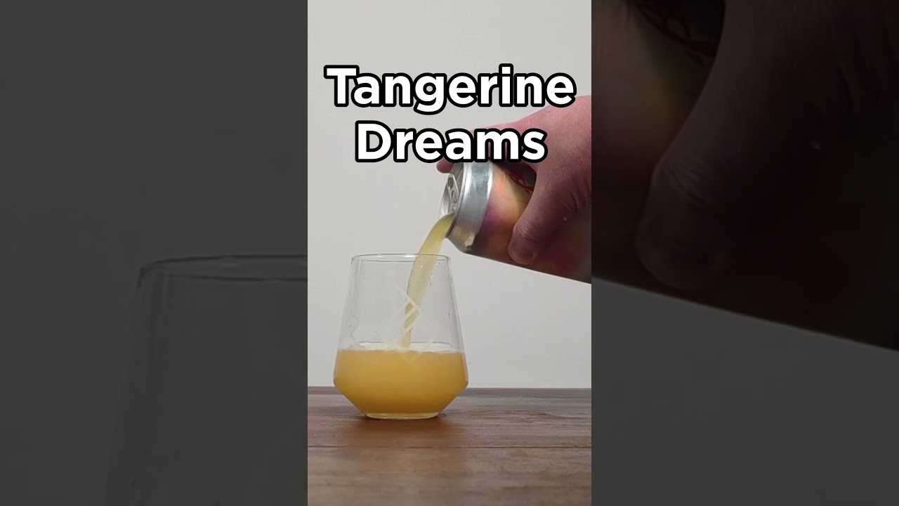 Tangerine Dreams from Arkane Aleworks #beer #craftbeer #beerreview #shorts