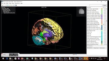 Brief Examples of Computational Modelling & Programming Software used in Biosciences/Neurosciences