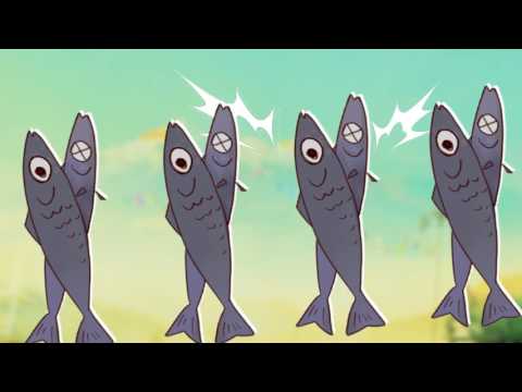 【時之歌Project】【原創曲】喵嗚不怕（佑可貓）