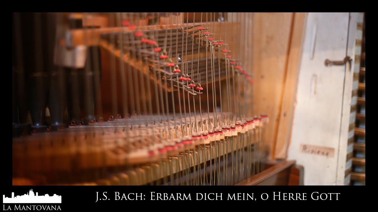 J.S. Bach: Erbarm dich mein, o Herre Gott  BWV 721 (F. Bigi Ewerhart)