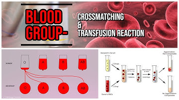 Blood Group - Crossmatching & Transfusion Reaction | blood bank |
