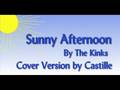 Sunny afternoon by the kinks  doctorcastille cover