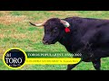 TOROS POPULARES LASSO 2021 | Del Toro Official