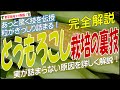 トウモロコシ栽培の裏技（粒がぎっしり詰まる！実が詰まらない原因を詳しく解説！）