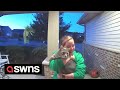 Doorbell cam captures emotional moment cat owner is reunited with lost pet  swns
