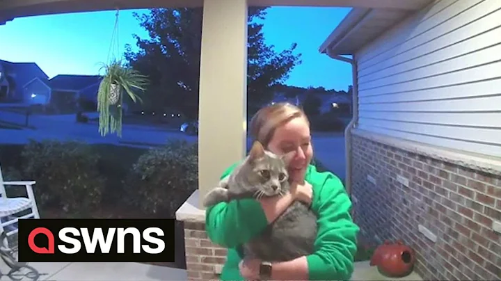 Doorbell cam captures emotional moment cat owner is reunited with lost pet | SWNS - DayDayNews