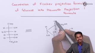 Conversion of Fischer Projection of Glucose to Haworth Projection Formula - Biomolecules