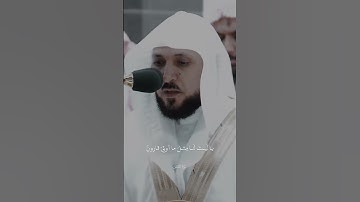 ما تيسر من سورة القصص 🎧🤍 #المصحف #قرآن #قران_كريم #سورة_القصص #ماهر_المعيقلي