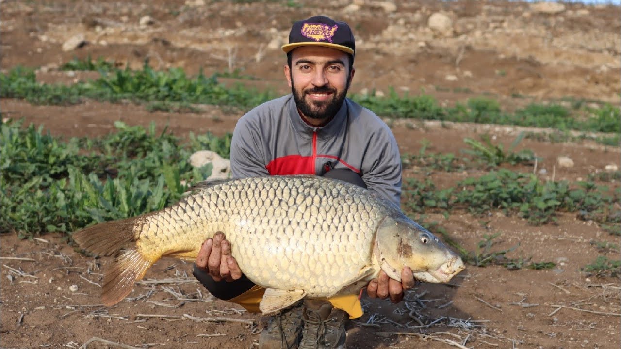 صيد وتخييم وشوي ومغامرة | اصطدنا سمكة كارب عملاقة