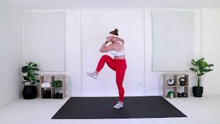 Front Kick Cross Body to Toe Touch