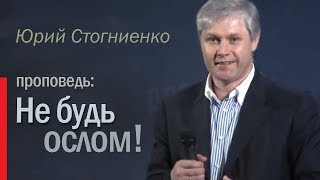 Не будь ослом! - проповедь пастора Юрий Стогниенко