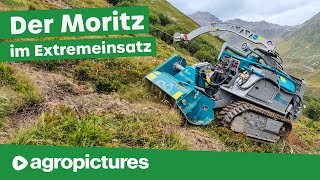 Pfanzelt Forstraupe Moritz in der Landschaftspflege mit Mulcher, Mähwerk, Holzhacker, Schutzschirm