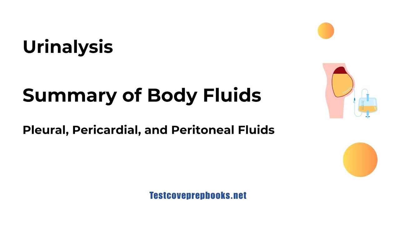 Summary of Body Fluids | ASCP MLS Prep - YouTube