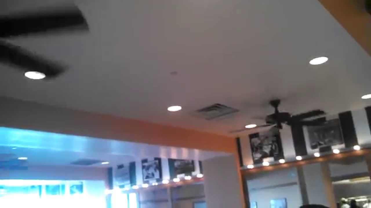 Hunter Original Ceiling Fans in a Cafe YouTube
