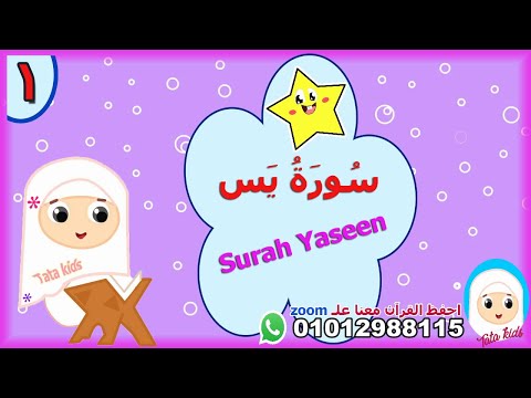 سورة يس وجه قراءة مجودة مع الترديد الآيات من 