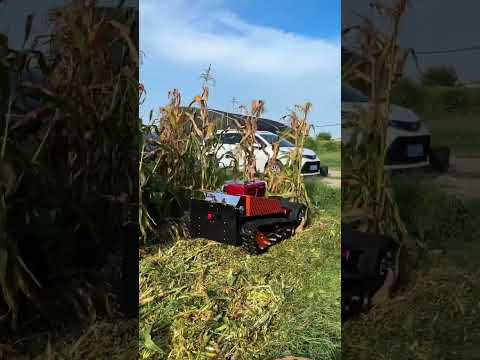 Remote Control Mulcher — Diesel, Water-Cooled, Tracked