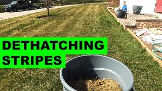 Dethatching with the Swardman Edwin