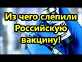 Из чего слепили Российскую вакцину , и почему она никому не нужна!/Комары убийцы в США/Америка