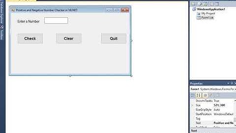 Positive and Negative Number Checker in VB.NET