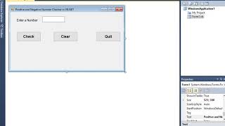 Positive and Negative Number Checker in VB.NET
