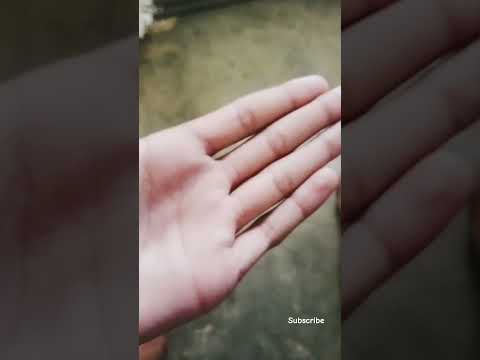 my hand Life 🧬#kamleshGurjarvlogs#shorts
