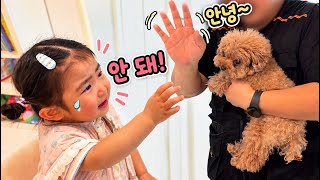 낯선 사람이 강아지를 데려가겠다고 하자 울먹이는 아기🥺