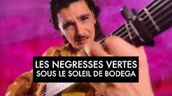 Les Négresses Vertes - Sous le Soleil de Bodega (Clip Officiel)