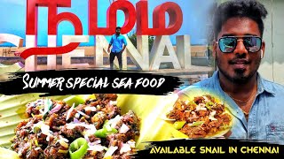 Why SNAIL is more important in summer? Available in chennai? |Kasimedu Fisherman | Tamil