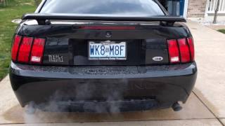 2003 Mach 1 Mustang idle, no cats, Flowmasters, Procharger, Cobra short block
Its dirty, got caught in the rain the day before. 2003 Mach 1 Mustang idle, no cats, Flowmasters, Procharger, Cobra short block