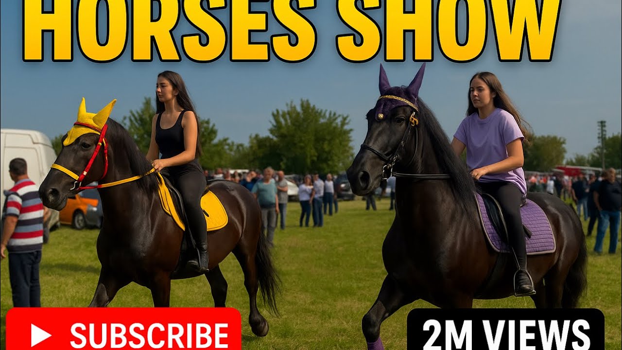 🛑Târgul de cai de la Mizil,Prahova 25 aprilie 2025 Nou! Ultra 4K