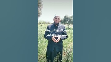 ماهي السورة التي يطلق عليها سورة الفرائض