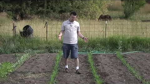 How to Use a Soaker Hose