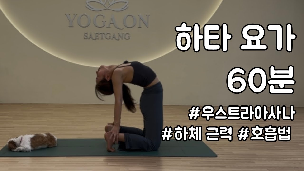 전신 하타 요가 60분 | 우스트라아사나 , 후굴 시 바른 호흡법