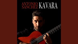 Video thumbnail of "Antonio Sánchez - Parrita nuestro (Rumba)"
