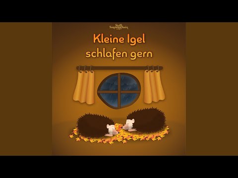 Kleine Igel Schlafen Gern