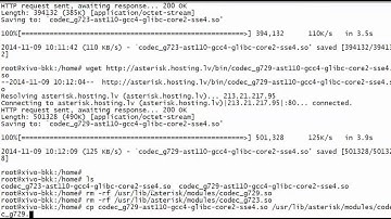 XiVO IP-PBX + Call Center - Install G.729 and G.729 Codecs