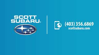 Scott Subaru | Blackfalds Bulldogs