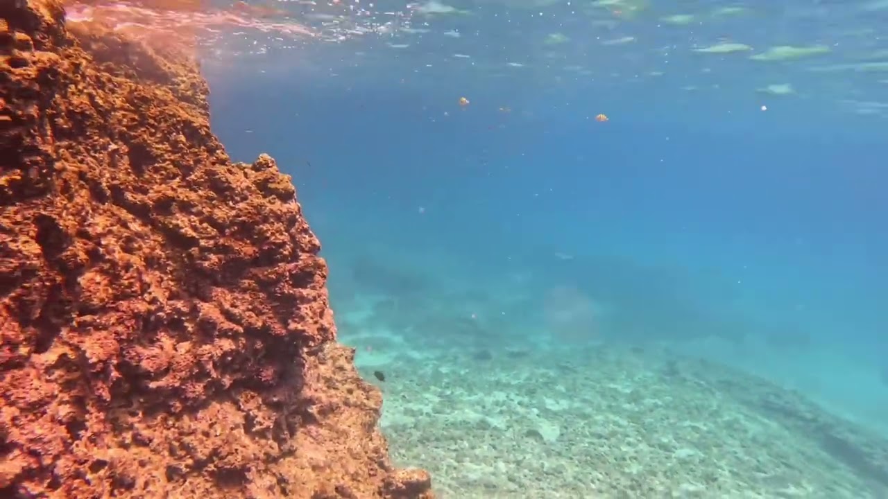 Isla Carmen, V-Cove snorkel #3