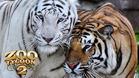 Zoo Tycoon 2 - Bengal Tiger Exhibit!