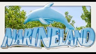 МАЙОРКА #3: Дельфинарий Маринеланд / Marineland - Dolphinarium - Marine Zoo (Mallorca)