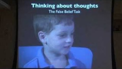 Rebecca Saxe: What Can Brain Imaging Tell Us About the Developing Childs Brain?