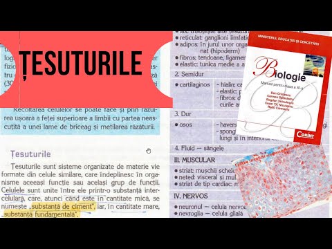 ADMITERE MEDICINA: TESUTURILE