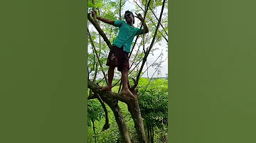 Jhanjhariya Meri Chhanak Gai Chunri Bhi Shortsvideo Trendingvideo Viral Video 200025 Gramerchoya634 