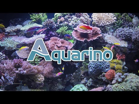 Aquarino | Tech Talk | Automação em Aquários Plantados com Cláudio Torrado